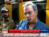 Haider Abbas Rizvi on protest in Karachi against Illegal arresting of MQM workers