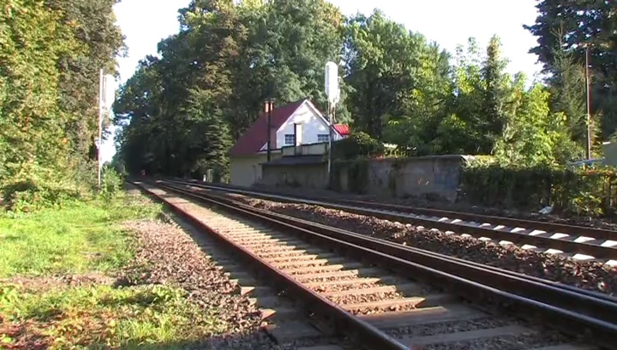 Janusz Solecki zaprasza