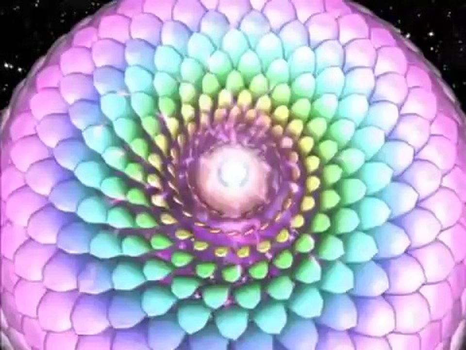 What is kundalini and chakra?Sta je to cakra i kundalini sistem