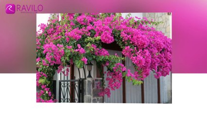 Alba Marin Hotel Bodrum Turkey