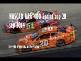 nascar AAA 400 Sprint cup Racing telecast live streaming