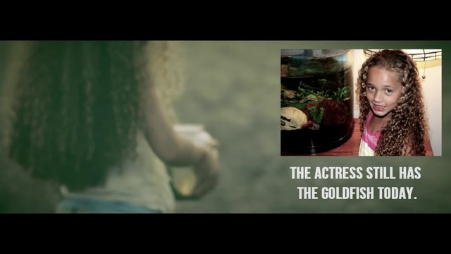 Our Lady Peace - Won't Turn Back (Now You Know)