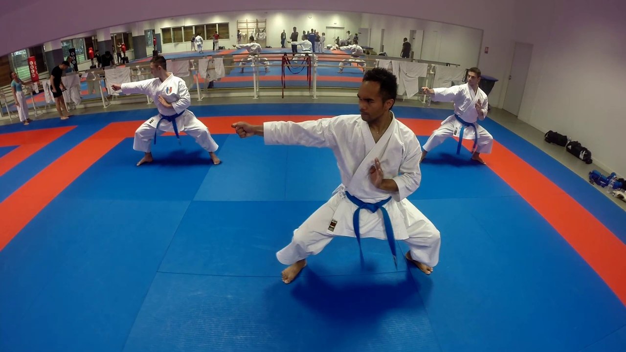 Objectif Brême 2014  - Sur le tatami avec les équipes Kata ...