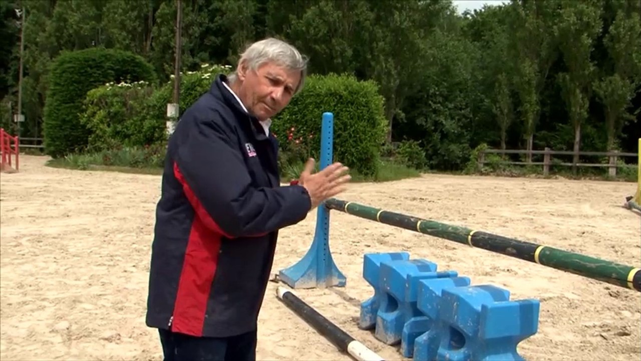 Cheval Pratique 296 - CSO - Sauter de biais