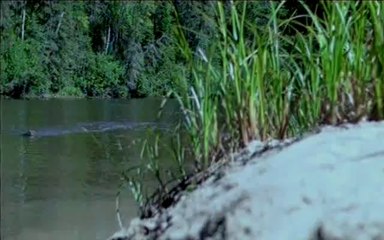 Mèche Blanche - Extrait n°5