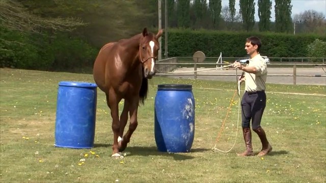 Cheval Pratique 296 - J'éduque - Les embûches simples
