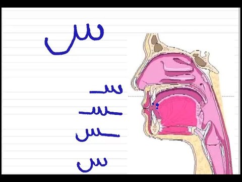 Leçon 6 - Vidéo 1 - Deux lettres de l'alphabet arabe س ش affectées de voyelles