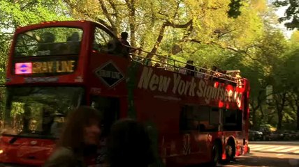 Whatever works - Le nouveau Woody Allen (VO)