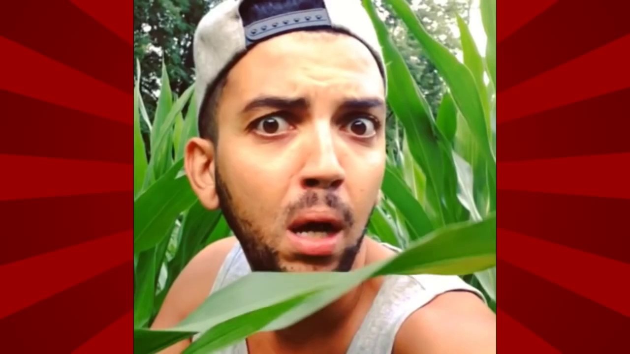 Best of Vine