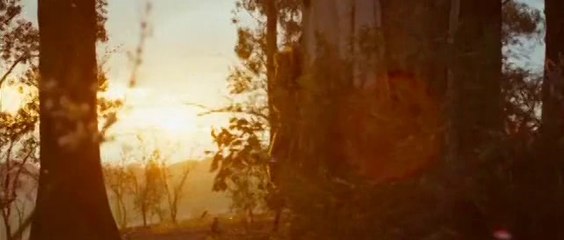 Max et les Maximonstres - Chanson de Charlotte Gainsbourg