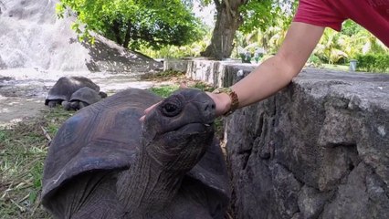 Seychelles La Digue 2014 Gopro Part 1