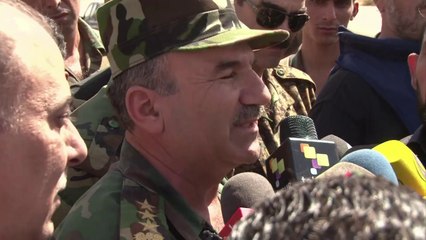 Syria army captures key rebel town near Damascus