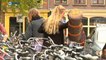 Dronken op de fiets: Snel doorfietsen, anders val je serieus om - RTV Noord