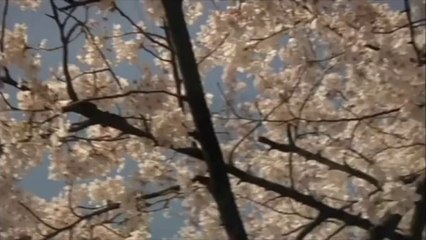 Le Soldat dieu - Bande-annonce (VOST)