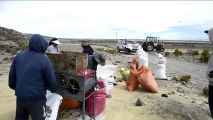 Dakar rally organisers start to survey course in Bolivia