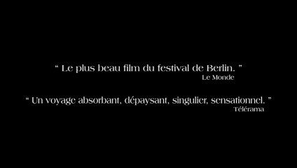 Le Cheval de Turin - Bande-annonce