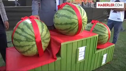 Diyarbakır'da "Kültür ve Karpuz Festivali" - Bakan Eker