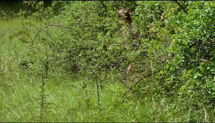 La Clé des champs- Bande-annonce