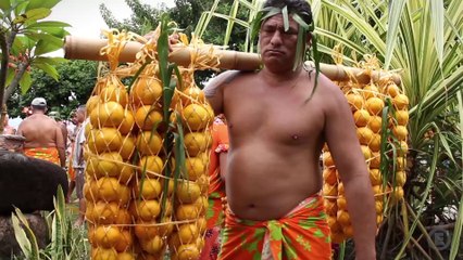 Les orangers de la Punaruu