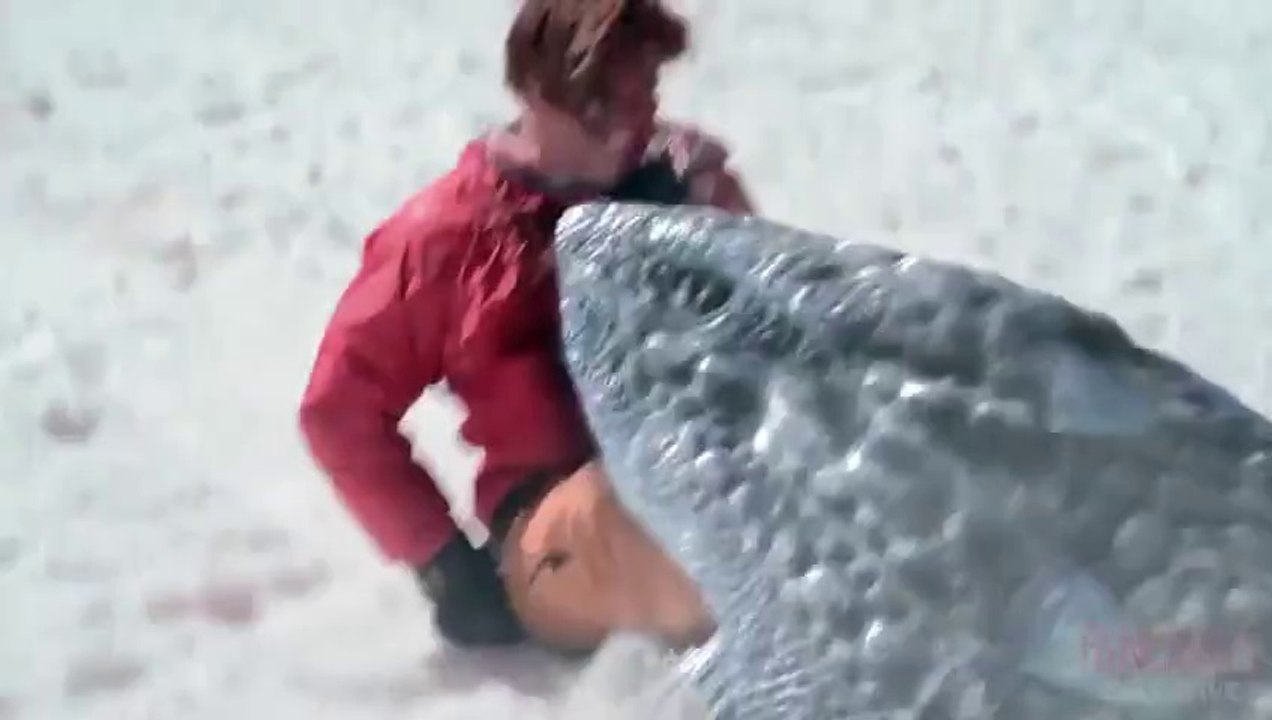 Avalanche sharks - Trailer (VO)