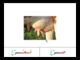 Leçon 13 - Vidéo 6 -  Exemples avec les lettres solaires - الـحـروف الـشـمـسـيـة