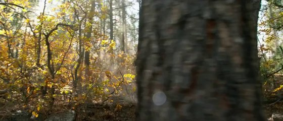 Du sang et des larmes - Bande-annonce (VF)