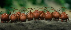 Minuscule - La vallée des fourmis perdues - Bande-annonce