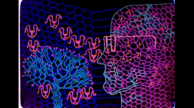 Conversation animée avec Noam Chomsky - Trailer (VO)