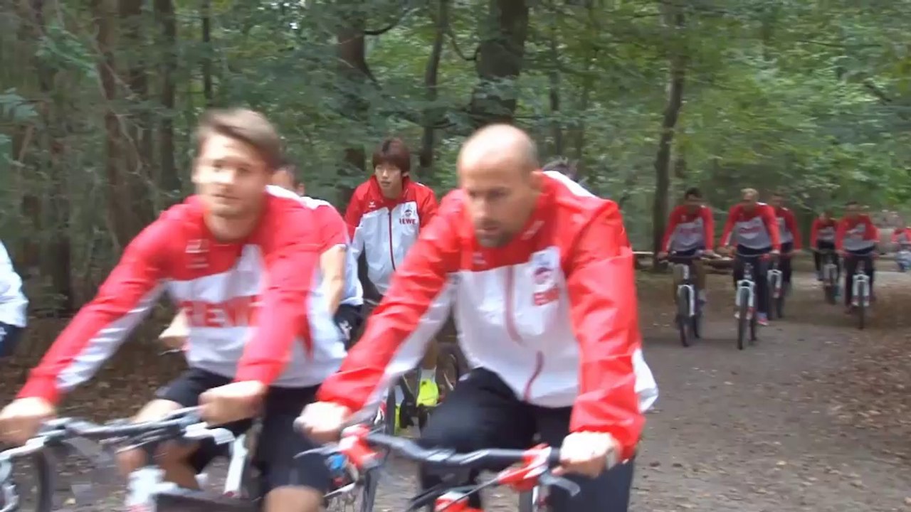 Stöger vor Bayern: "Rechnen uns nicht viel aus"