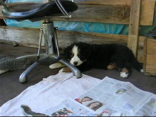 25 sept la sieste (zoom sur Jäger et Jena