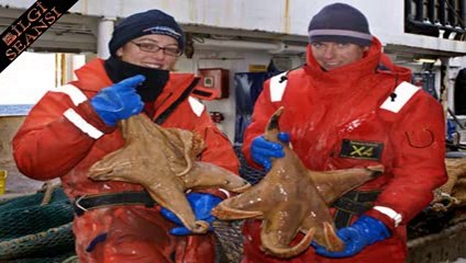 Dünyanın En Büyük Hayvanları