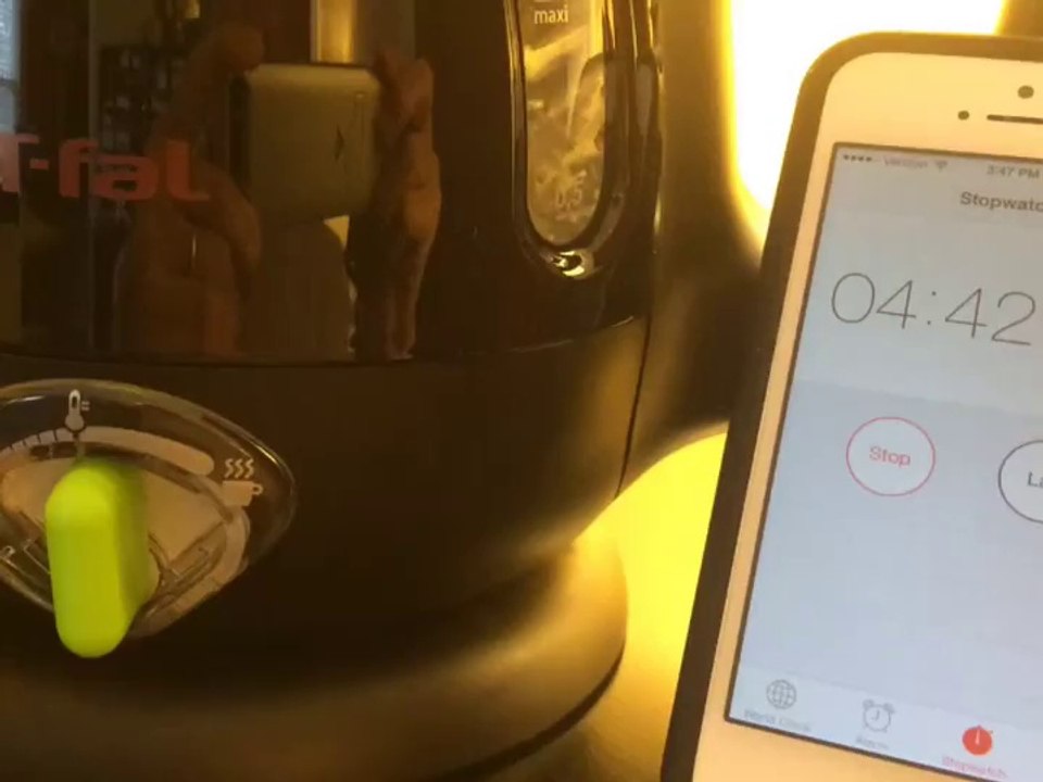 T-fal BF6138US Balanced Living 1-Liter 1750-Watt Electric Mini Kettle Review