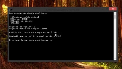 Ejercicio de SUBE (Objetos)