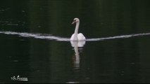 Viry-Grigny: Les activités nautiques suspendues sur les lacs