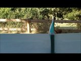 FUNNY VIDEOS OF VINES - NEW FUNNY VIDEOS OF HILARIOUS ANIMAL VINES