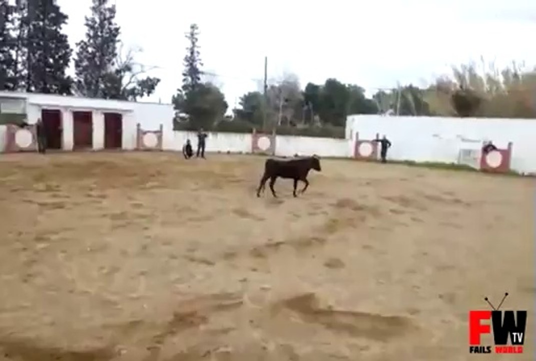 Scared By A Bull