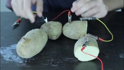 Homemade Potato Battery!
