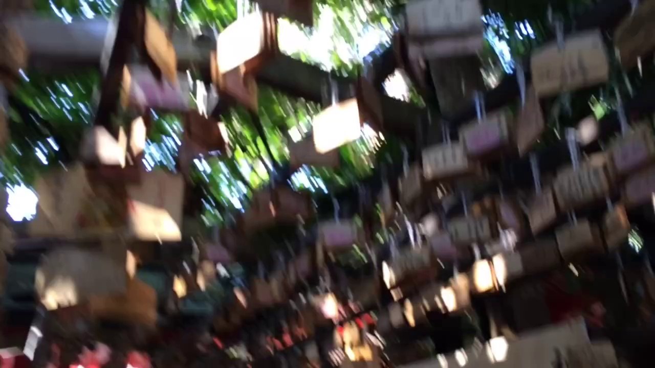 牧野三姉妹旅行〜九州編〜