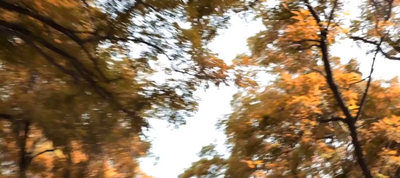 【mv.6park.com】LSAQ类似爱情.HD1280超清国语中字_3.[SplitIt]