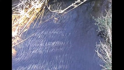 DOCUMENT BERRE L'ETANG - LES MUGES DANS L'ARC