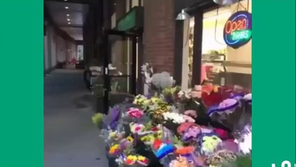 Funny Vines - Newest Funny Vines Compilation Video 2014 - Funny Videos