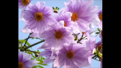 SURAT ADIYAT URDU TRANSLATION