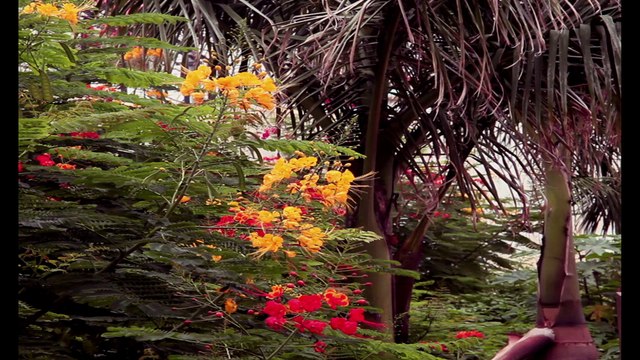 Gopalan Residency : Luxury Apartments in Vijay Nagar, Bangalore