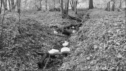 Post-Trench Video Memory 14-18 🎥