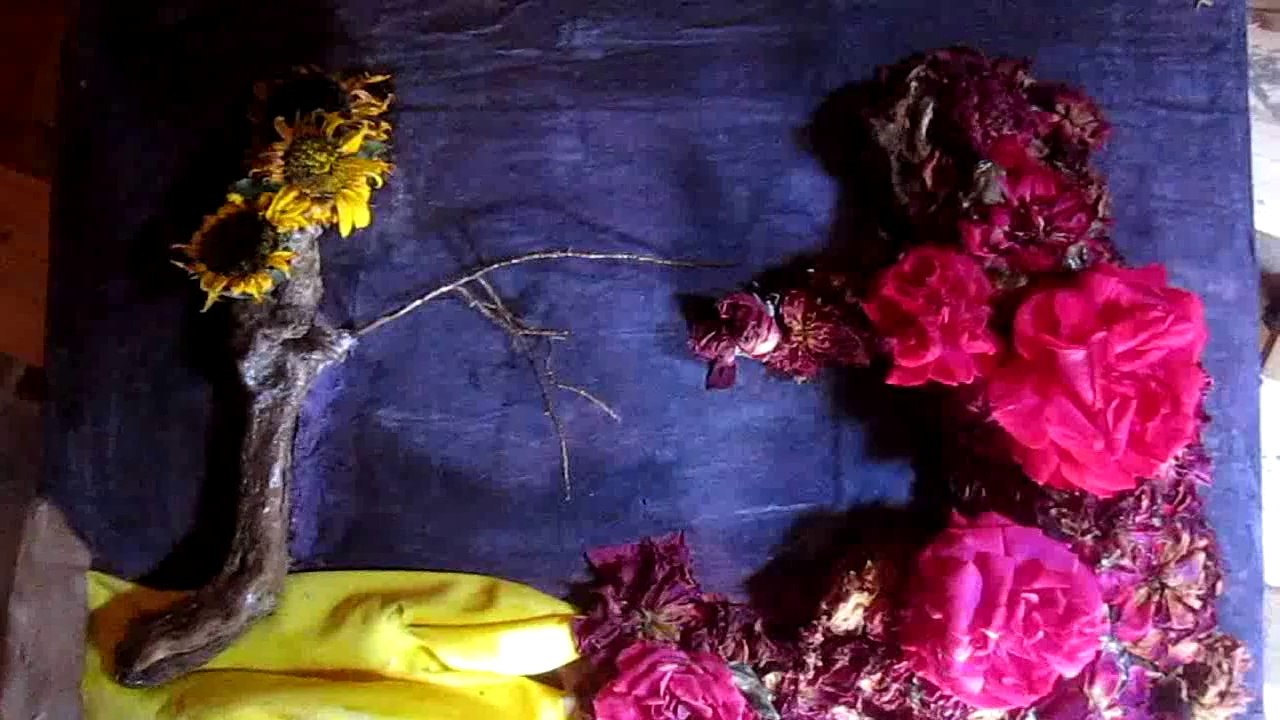 nous sommes l'envers des canuts tous nus (dans la mer)