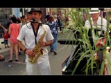 Musiciens de Rues en Provence