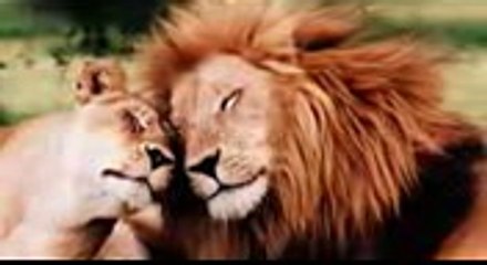 Download Ebook Geosciences Environment and Man H. Chamley PDF Audiobook