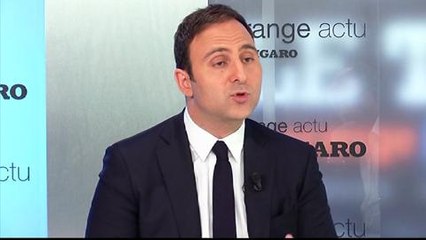 Rihan-Cypel : «Les Français en veulent à la gauche»