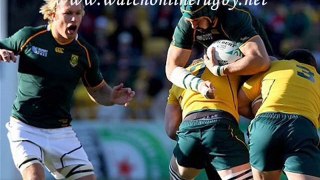 South Africa VS Australia Rugby Match
