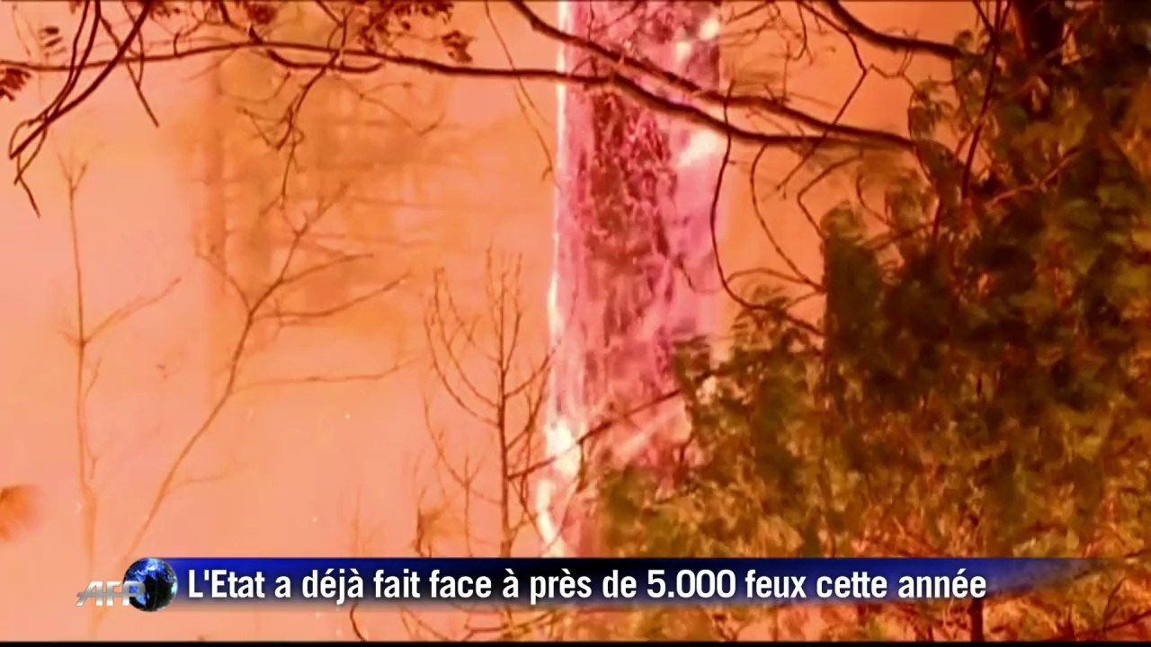 En Californie, le nombre d'incendies frôle des records
